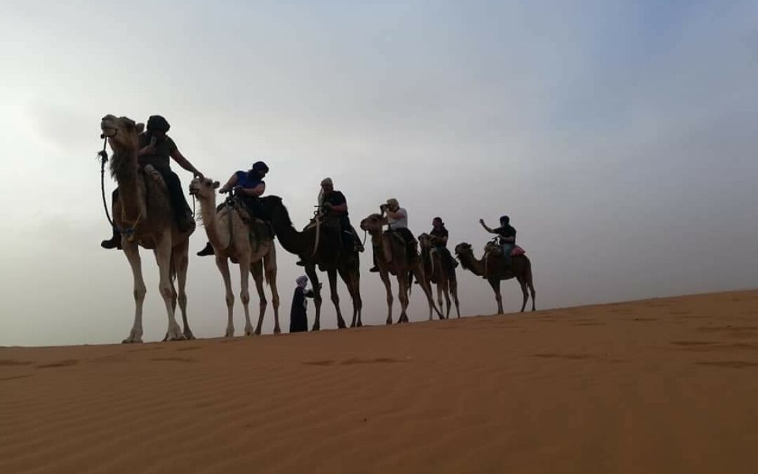 TOP 8 Days Tour from Casablanca