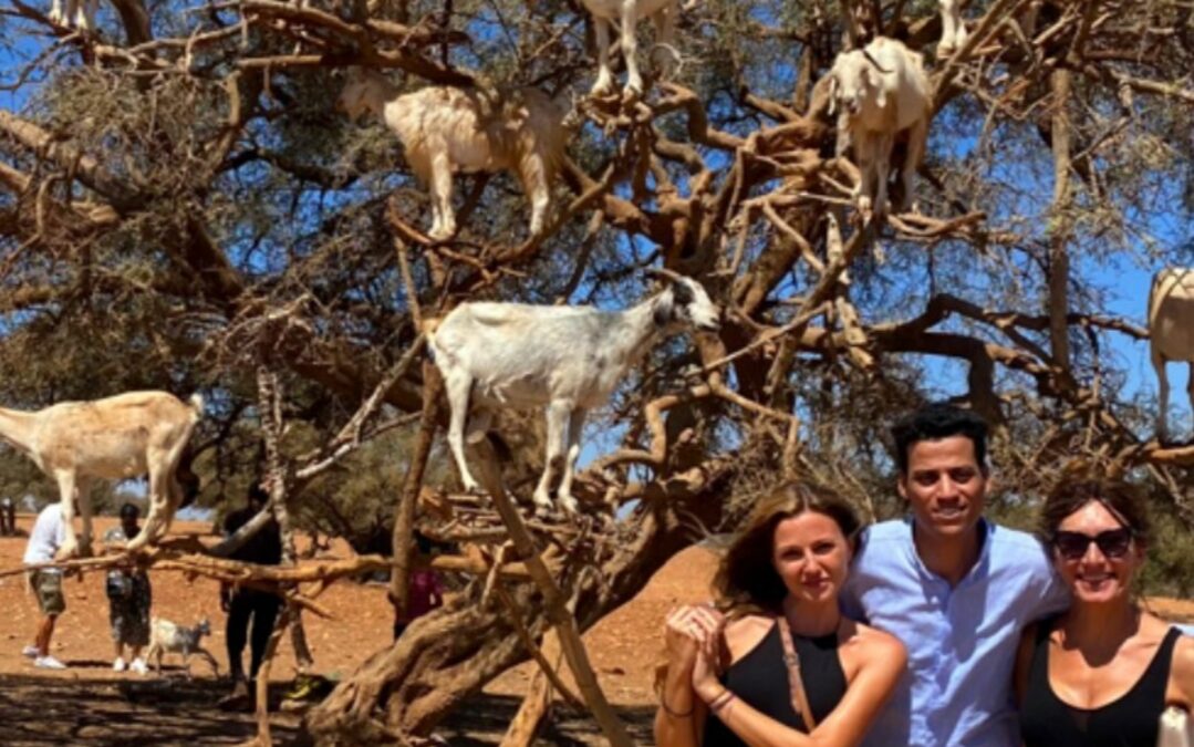 6 Days Tour From Marrakech to Fes & Casablanca via Desert